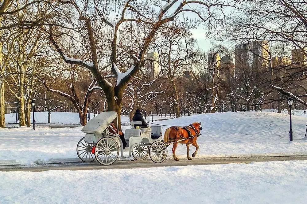 New2 York Style Stay Near Central Park New York Apartment